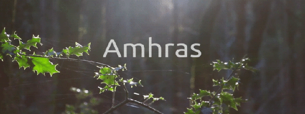 Amhras - Woods